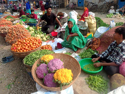 रंगिन काउलीतर्फ उपभोक्ताको आकर्षण बढ्दै